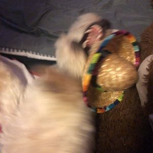 Meet your Posher, Jonathan